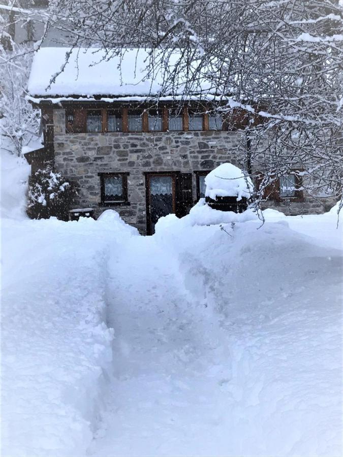 A L'Oree Du Bisse Anzère Екстериор снимка